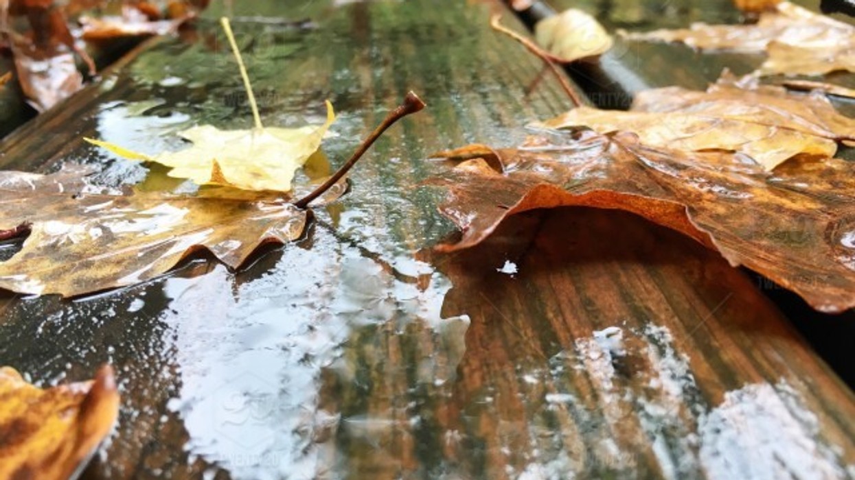 2019/11/stock-photo-brown-cold-autumn-rain-weather-wet-waterfall-fall-color-leaves-f816652a-ac50-4d2b-9842-485d4d6cb29e.jpg