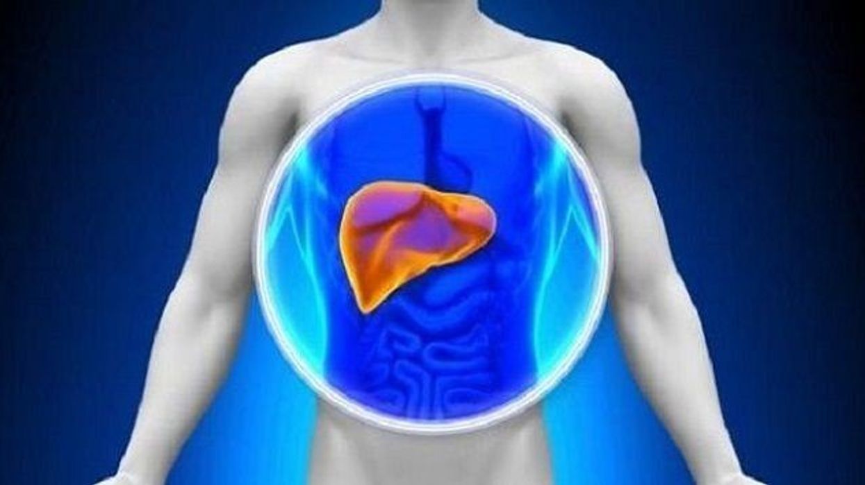 2019/12/liver-2.jpg