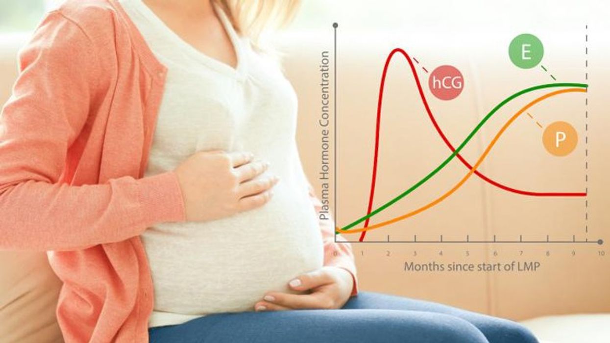 2020/01/early-pregnancy-hcg-and-hormone-levels-1440.jpg