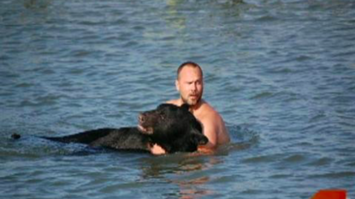 2020/07/extremely-brave-man-saves-400-lb-black-bear-from-drowning-650x392-1.png