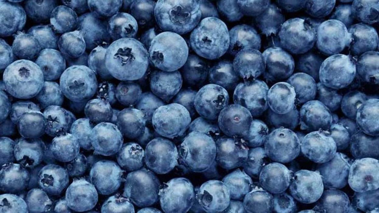 2020/08/blueberries-1296x728-feature.jpg