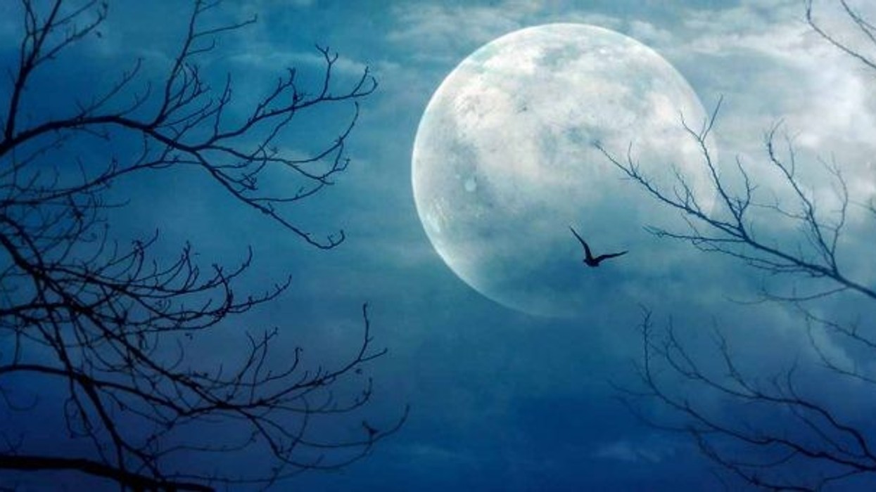 2020/08/rare-blue-moon-will-make-this-halloween-extra-special-650x340-1.jpg