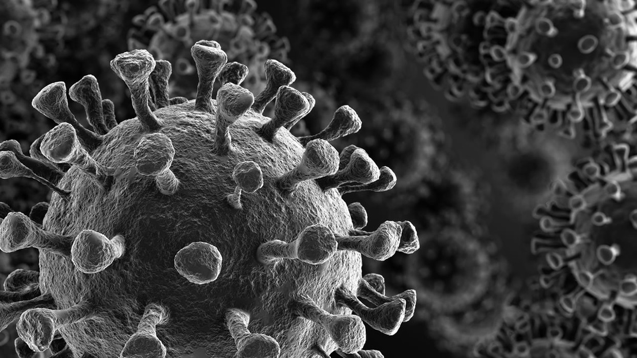 2020/11/5987754_030520-kgo-shutterstock-coronavirus-3d-render-graphic-grey-good-img.jpg
