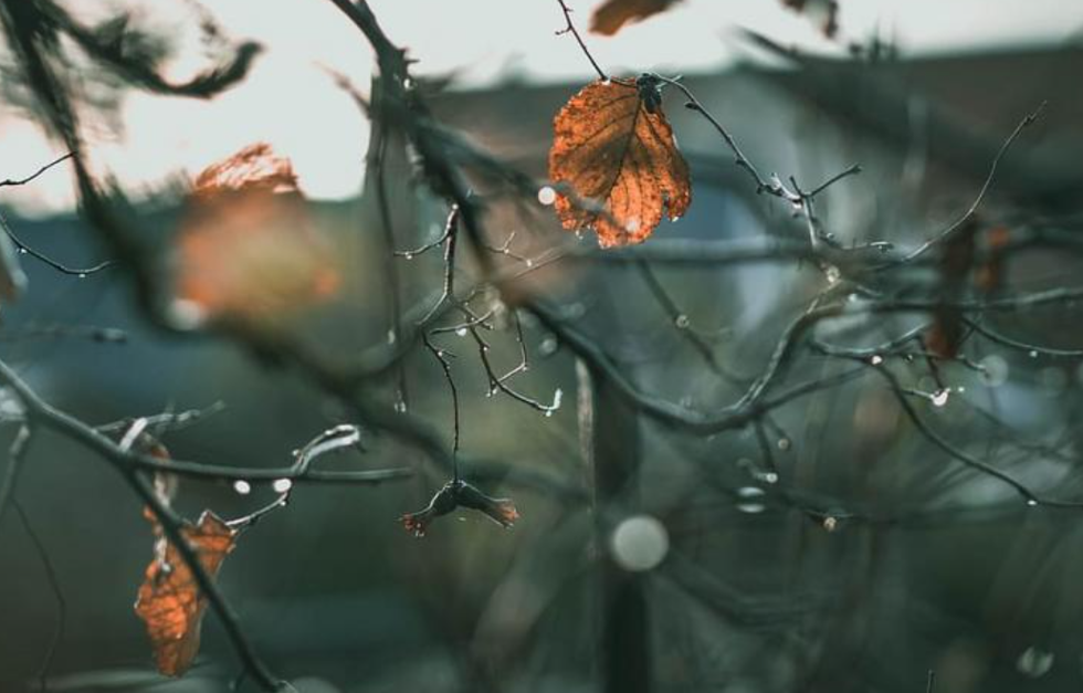 Moti sot në Maqedoninë e Veriut