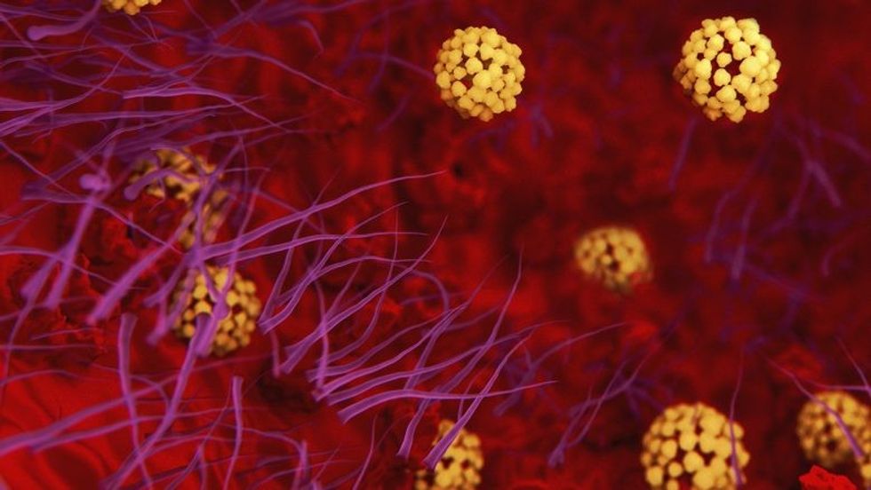 2020/12/coronavirus-179046290-InsideDisplay-780x439-1.jpg