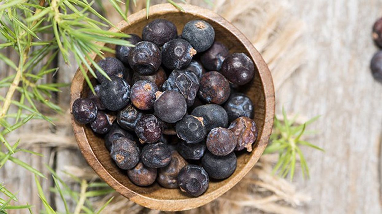 2021/01/substitutes-for-juniper-berries-780x405-1.jpg
