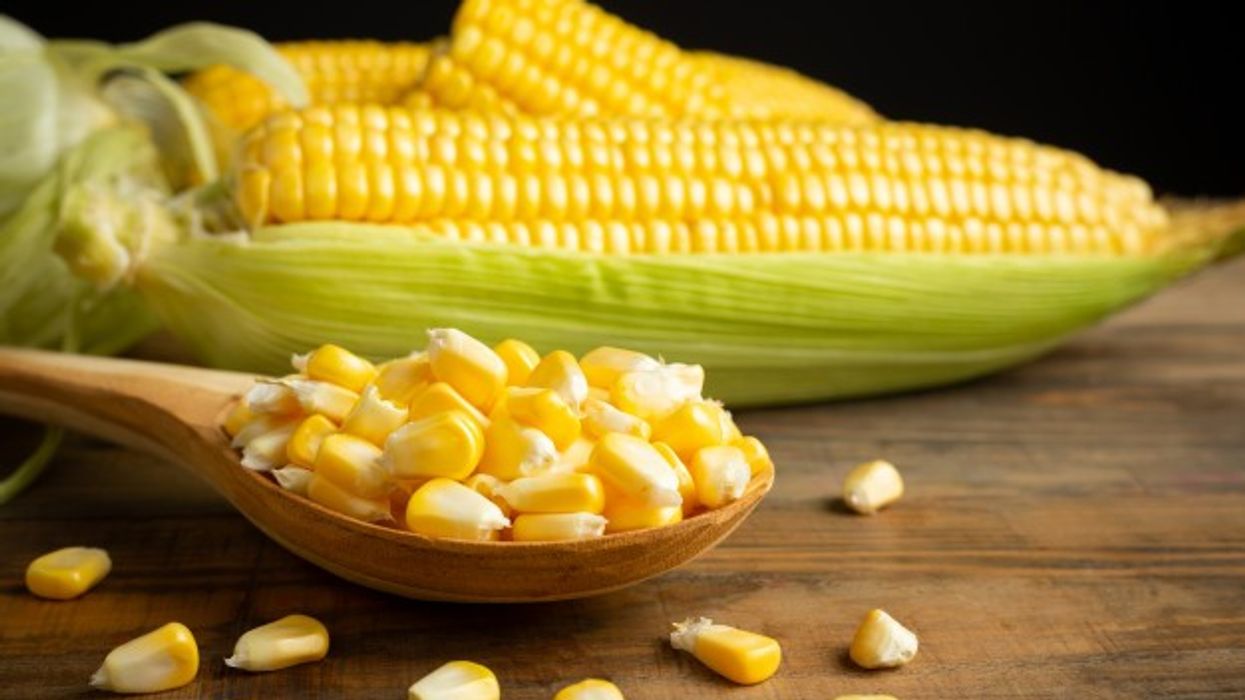 2021/03/seeds-sweet-corn-wooden-table_1150-9483.jpg