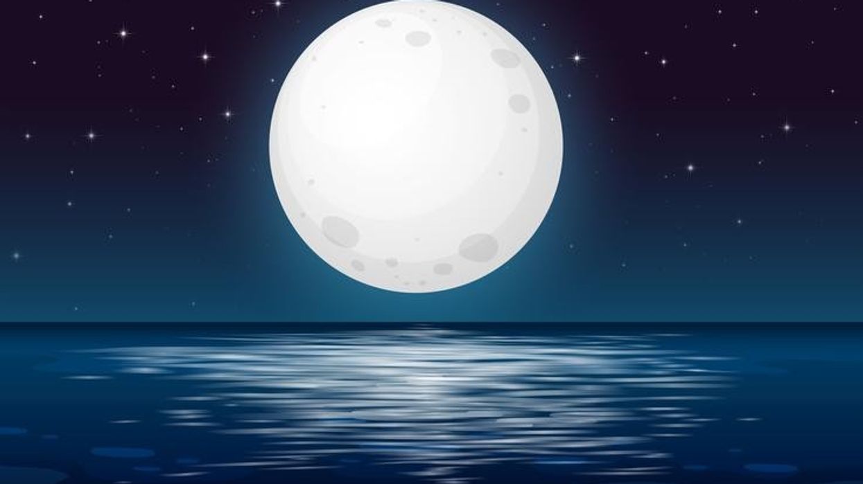 2021/03/vector-a-full-moon-night-at-the-ocean.jpg