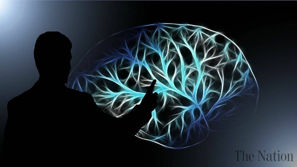 2021/04/doctors-investigate-mysterious-brain-disease-cluster-in-canada-1617163156-7141-e1617779946949.jpg