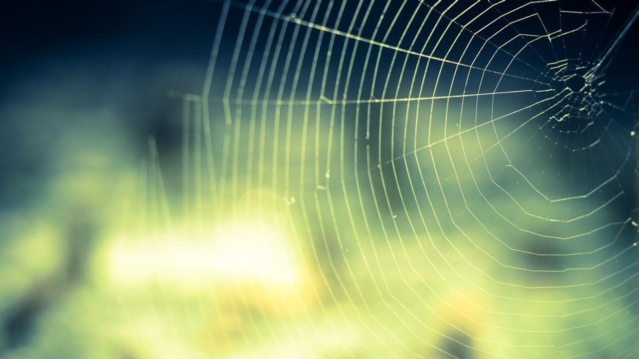 2021/10/1630649672-1630647380-cobweb-959578_1920-1024x768-1.jpg