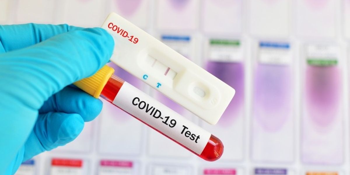 The falsified COVID-19 test in Kosovo cost the immigrant from ...