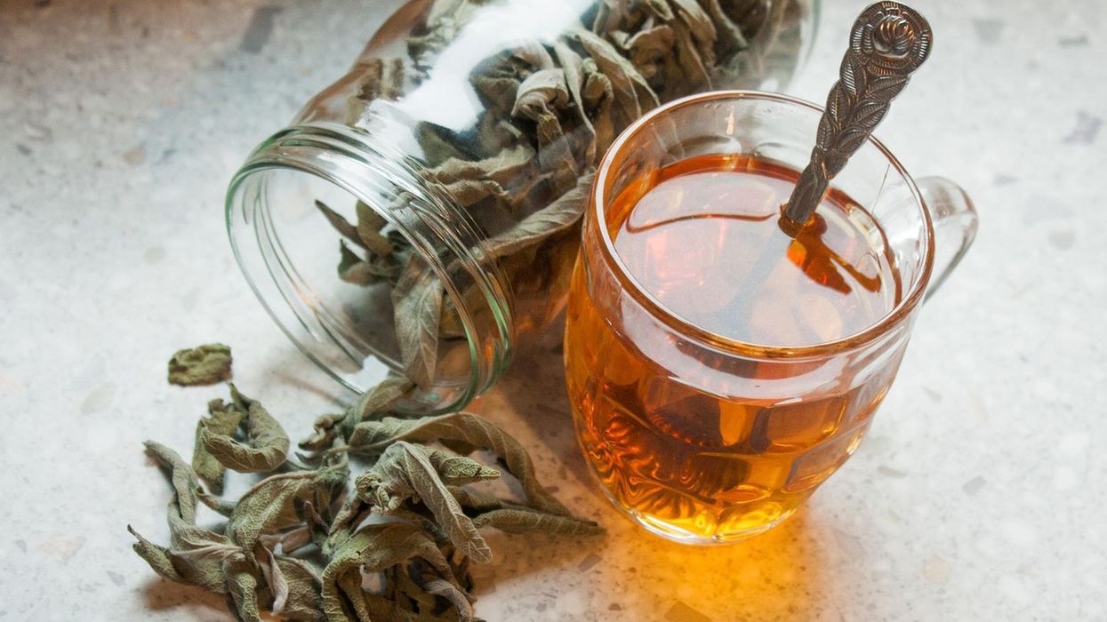 2022/02/Sage-tea-effect-what-does-the-plant-help-against.jpg