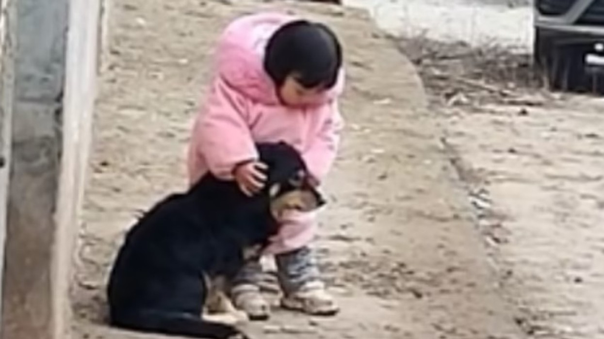 2022/02/Toddler.jpg