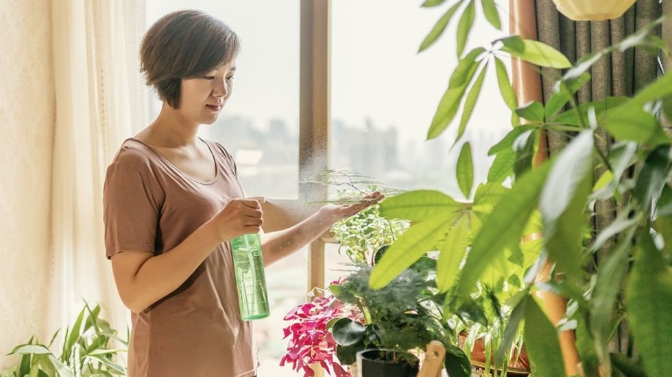 2022/02/Woman-Spraying-Her-Houseplants.jpg