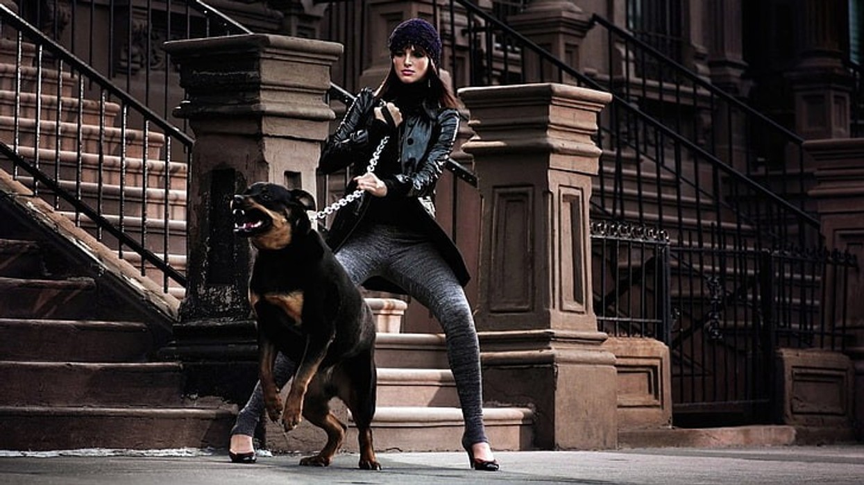 2022/03/aunt-chain-rottweiler-aggression-wallpaper-preview.jpg