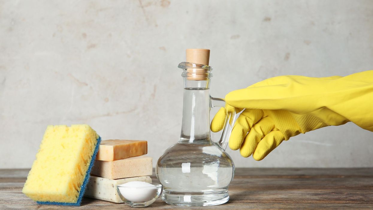 2022/03/woman-with-jug-of-vinegar-and-cleaning-supplies-at-royalty-free-image-1583529238.jpg