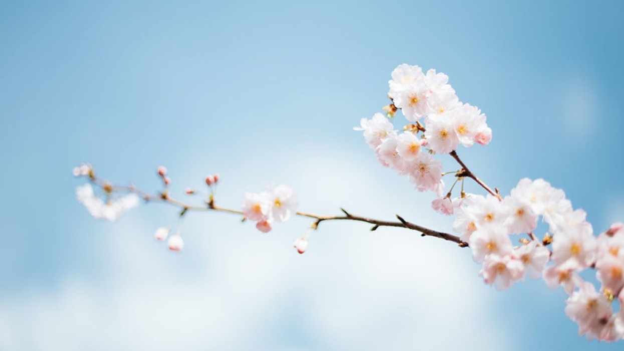 2022/04/Rohn_Spring-Is-the-Season-of-Opportunity-1024x682-1.jpg