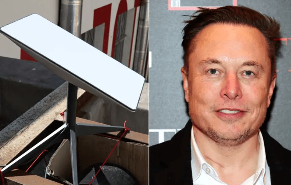 2022/05/Musk.png