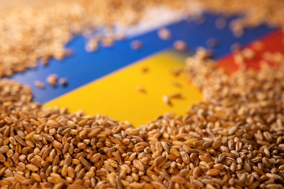 2022/05/wheat-ukraine.jpg