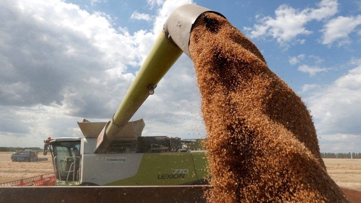 2022/06/124091682_wheat_reuters.jpg