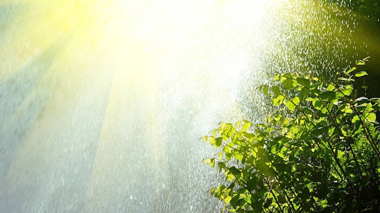 2022/06/istockphoto-155900081-612x612-2.jpg