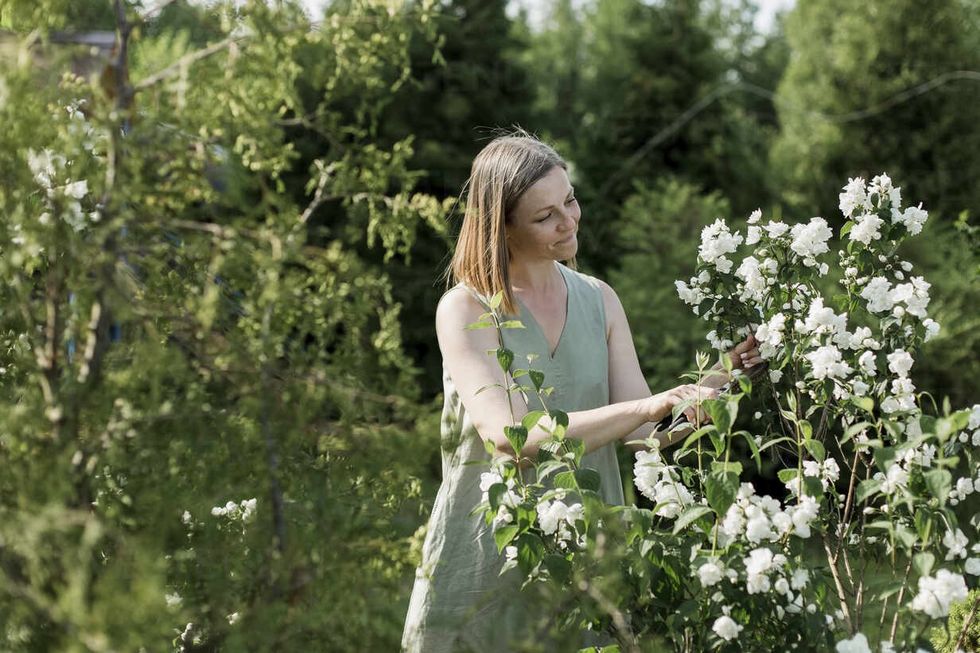 2022/06/smiling-woman-cutting-jasmine-flowers-in-garden-LLUF00005.jpg