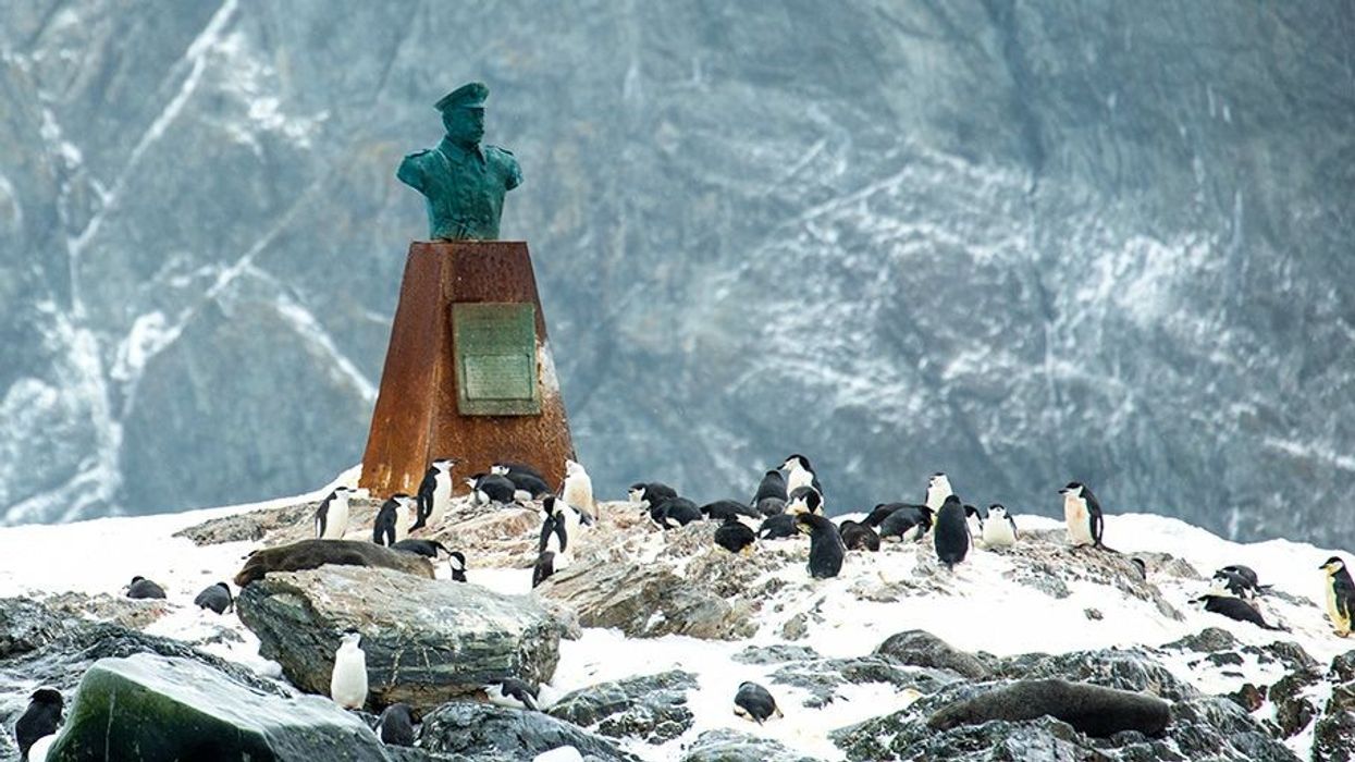 2022/07/125723381_penguins.jpg