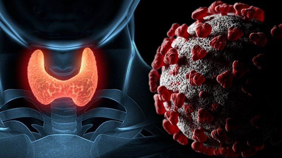 2022/07/ih_201002_coronavirus_covid-19_thyroid_gland_800x450.jpg