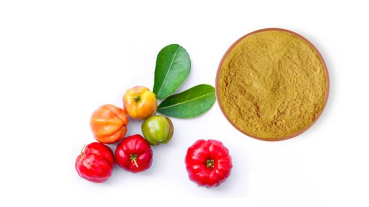 2022/08/acerola-powder-product-500x500-1.jpg