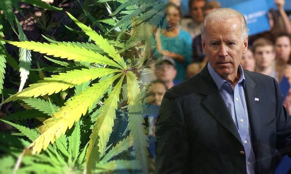 2022/10/joe-biden-supports-marijuana-decriminalization-not-legalization-feature.jpg