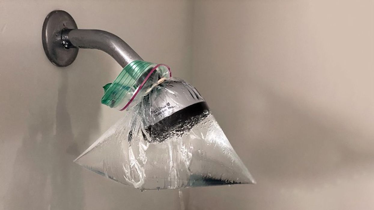 2022/12/degunk-your-showerhead-in-1-hour-with-this-simple.jpeg