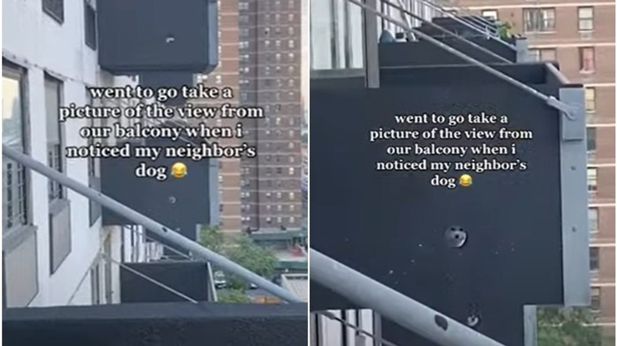2023/01/NewYork.jpg