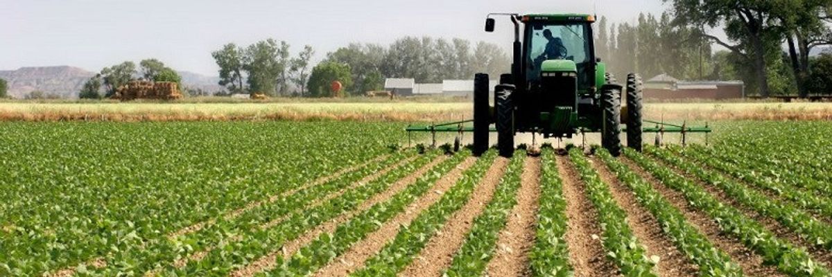 Bujqit paralajmërojnë rritje të çmimeve të produkteve bujqësore në Maqedoni Bujqit paralajmërojnë rritje të çmimeve të produkteve bujqësore në Maqedoni