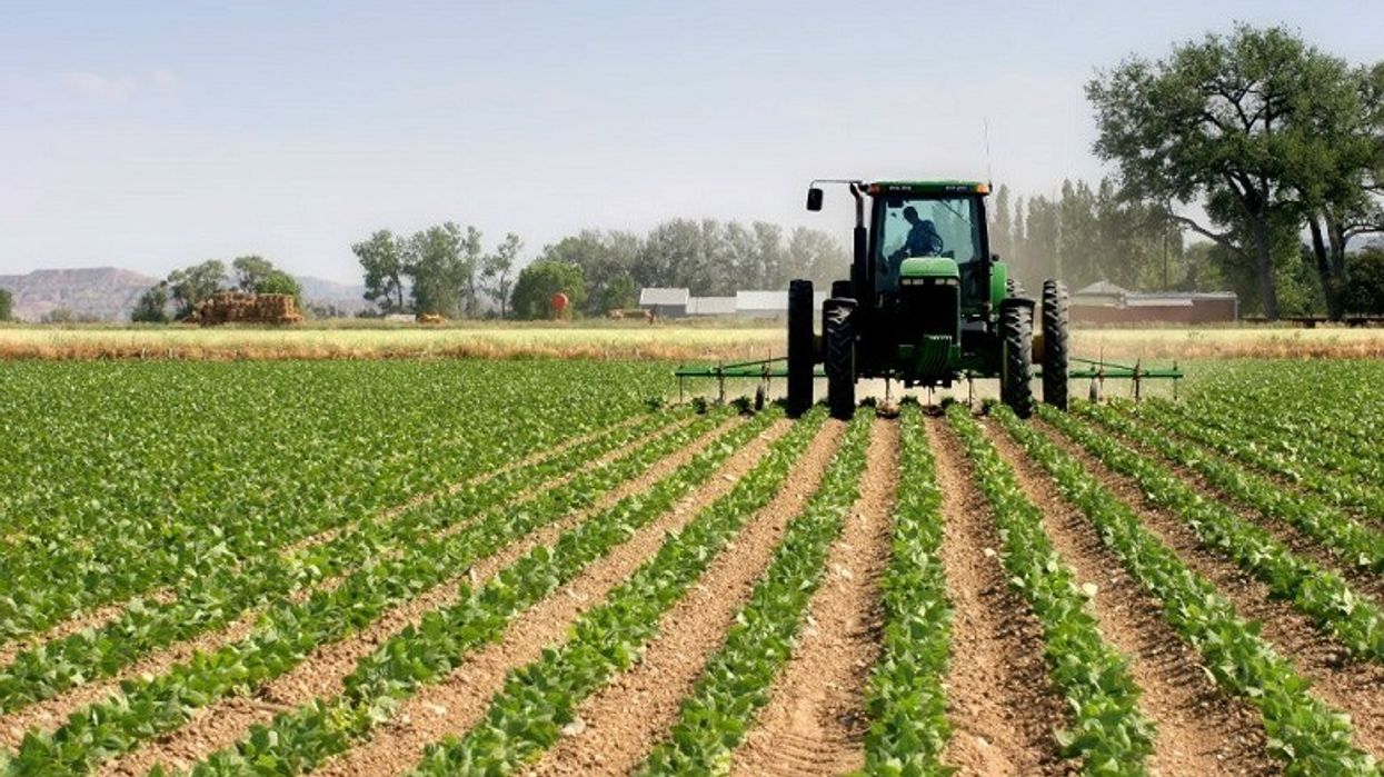 Bujqit paralajmërojnë rritje të çmimeve të produkteve bujqësore në Maqedoni Bujqit paralajmërojnë rritje të çmimeve të produkteve bujqësore në Maqedoni