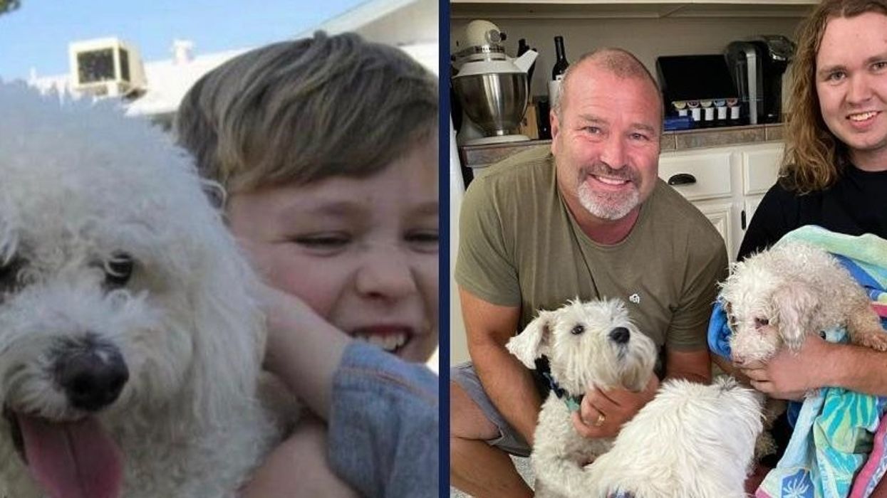 2023/09/Missing-dog-reunited-with-Arizona-family-after-12-years.jpg