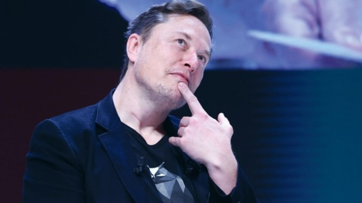 2024/08/musk-1-e1723065761753.jpg