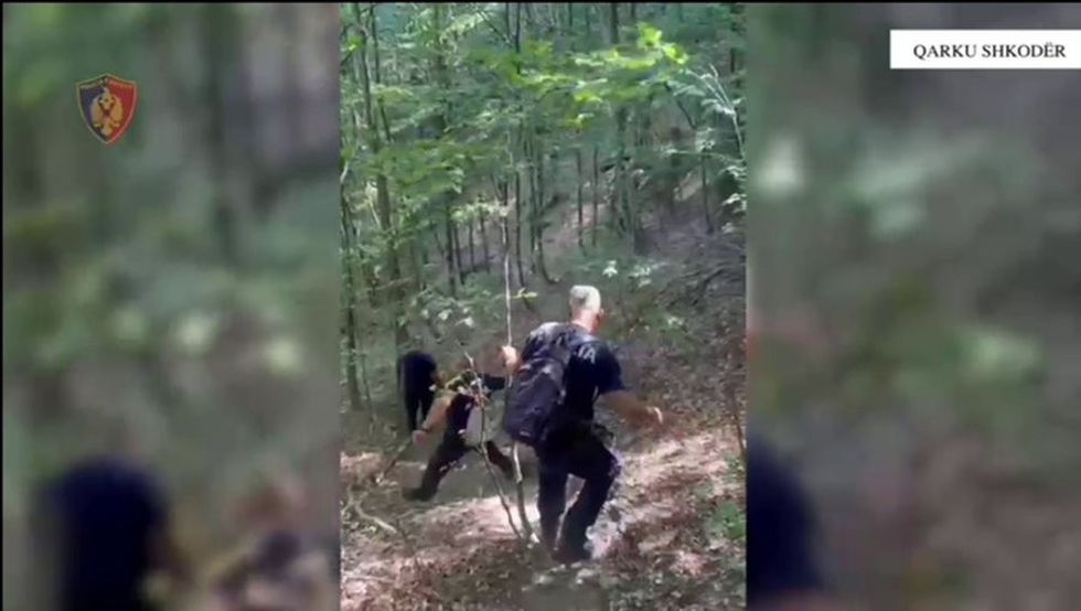 2024/08/shkoder-policia.jpeg
