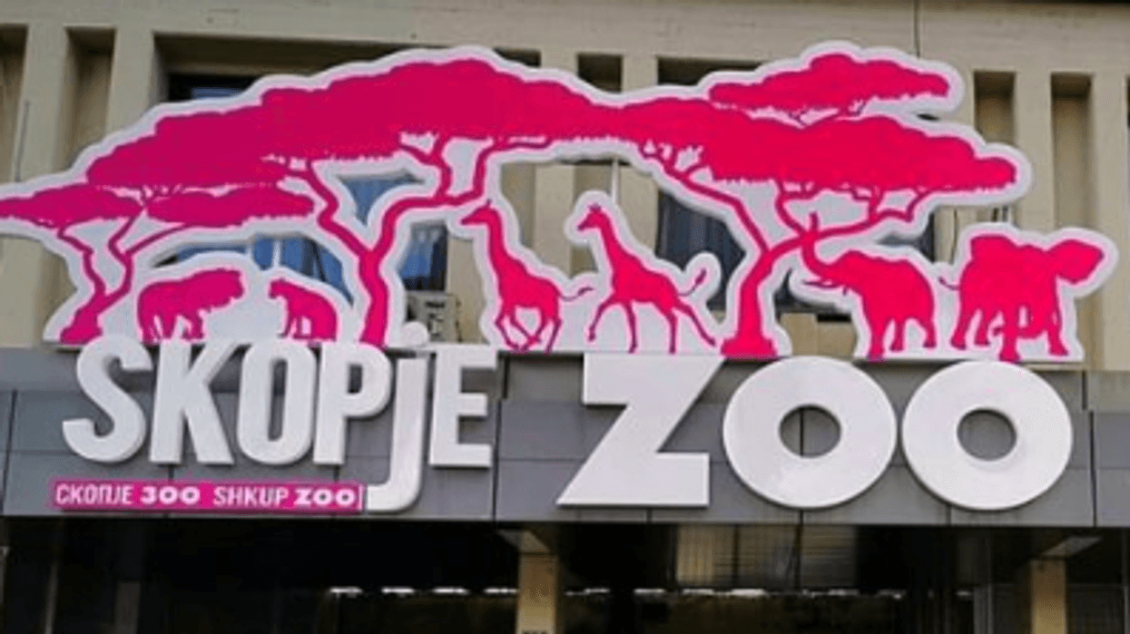 PLD: Disa ujqër dolën nga kafazi në Kopshtin Zoologjik të Shkupit dhe hëngrën disa kangurë dhe zogj PLD: Disa ujqër dolën nga kafazi në Kopshtin Zoologjik të Shkupit dhe hëngrën disa kangurë dhe zogj