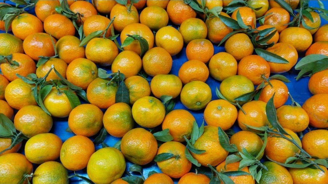 2024/12/mandarina-oronules-caja-15-kg.jpg