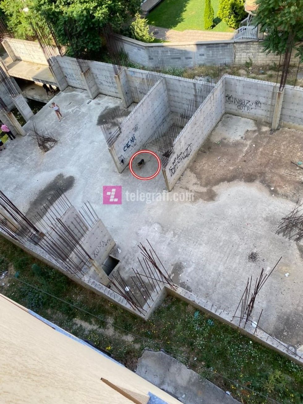 202767602 540450770444981 4574242462329112938 n