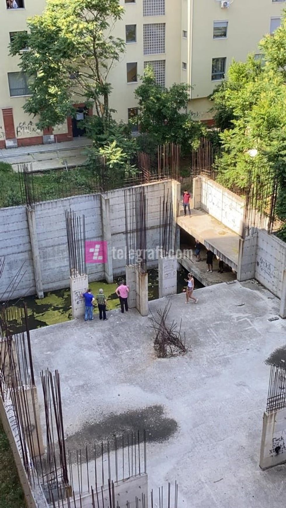 206467379 1402046706826423 597806382701286738 n