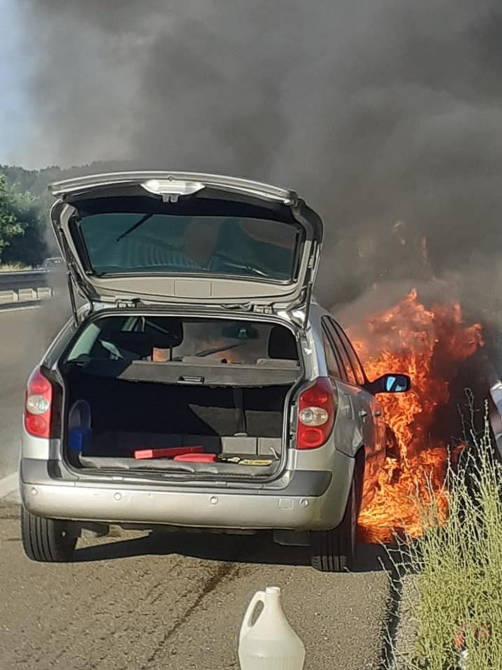 207431791 10161201063453858 6706090682059172511 n