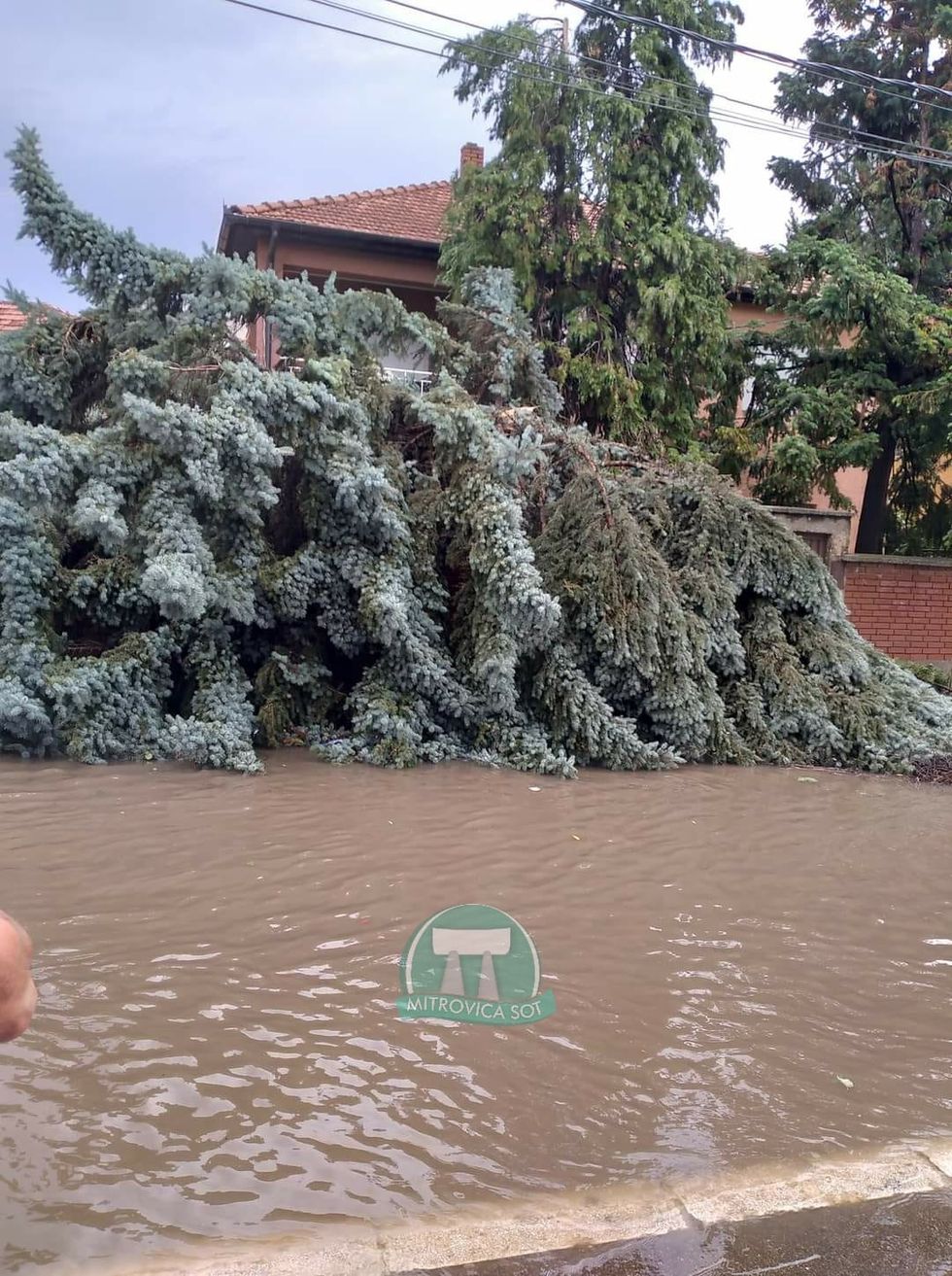 208220619 3655193691247925 5820843673384958808 n