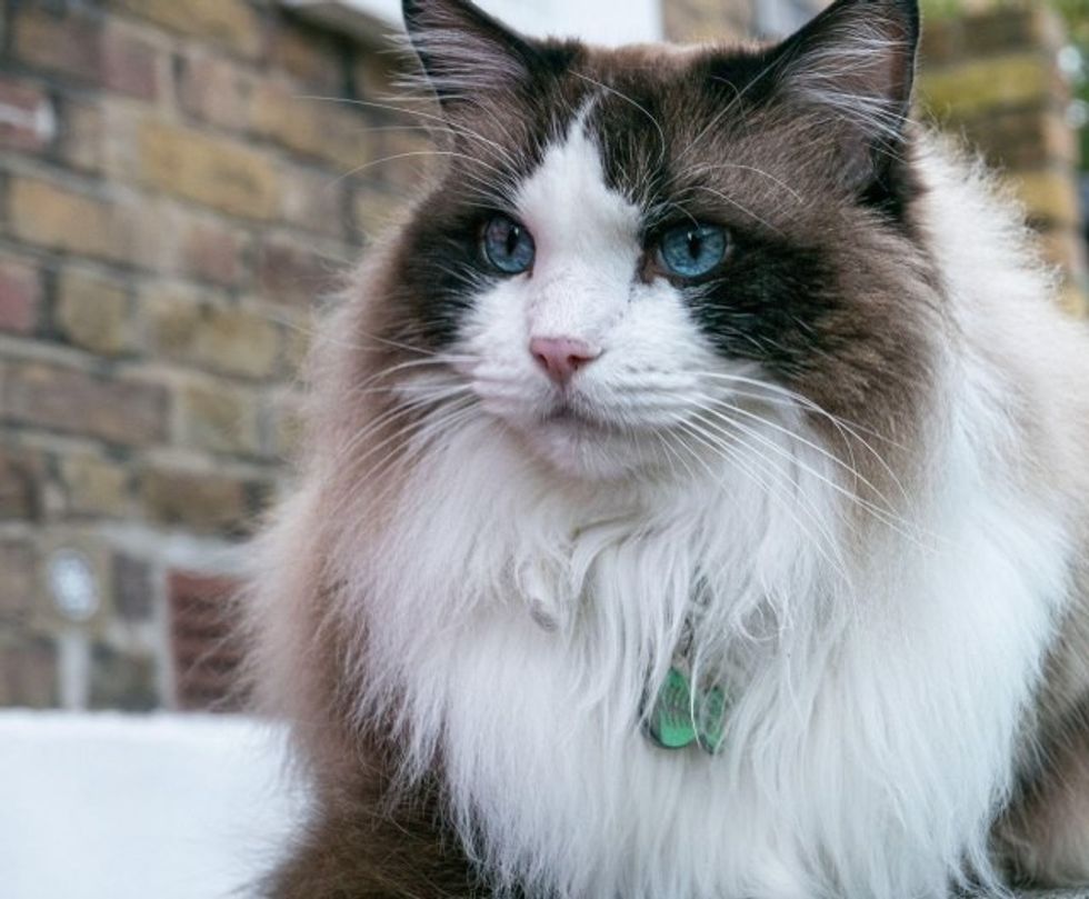 20824196306199238f83d6e3117