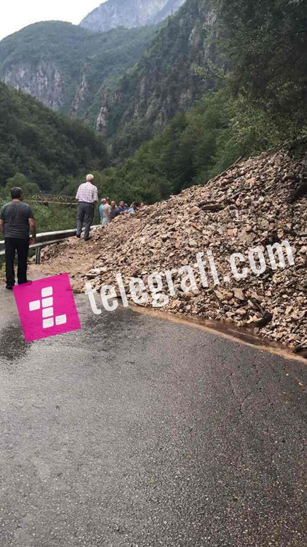 20916835 1631639360200804 1060731180 n