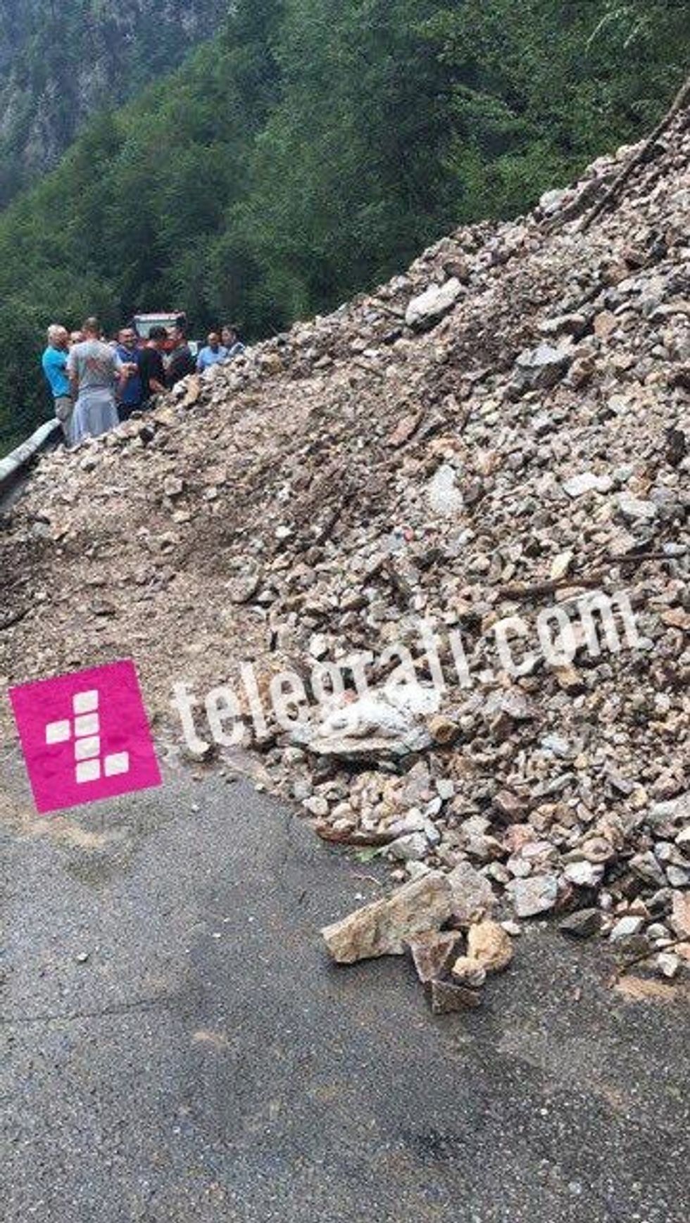 20937940 1631639350200805 938640719 n