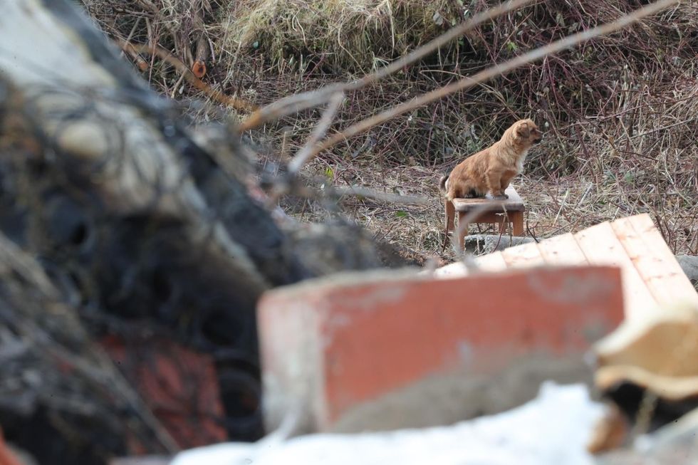 209932bc d079 45ab 831a 93fd808f0c81