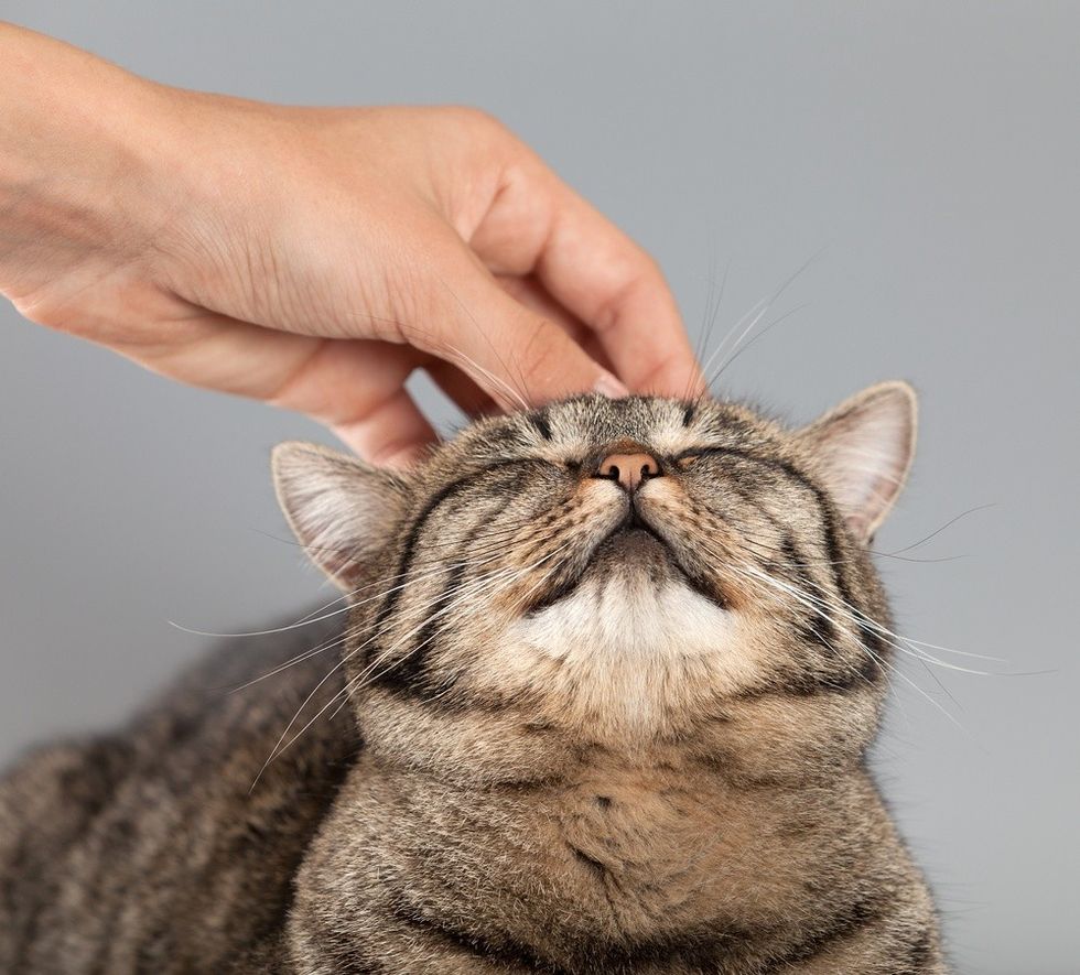 20ddeb0d47b4284ca828448560e98fcf