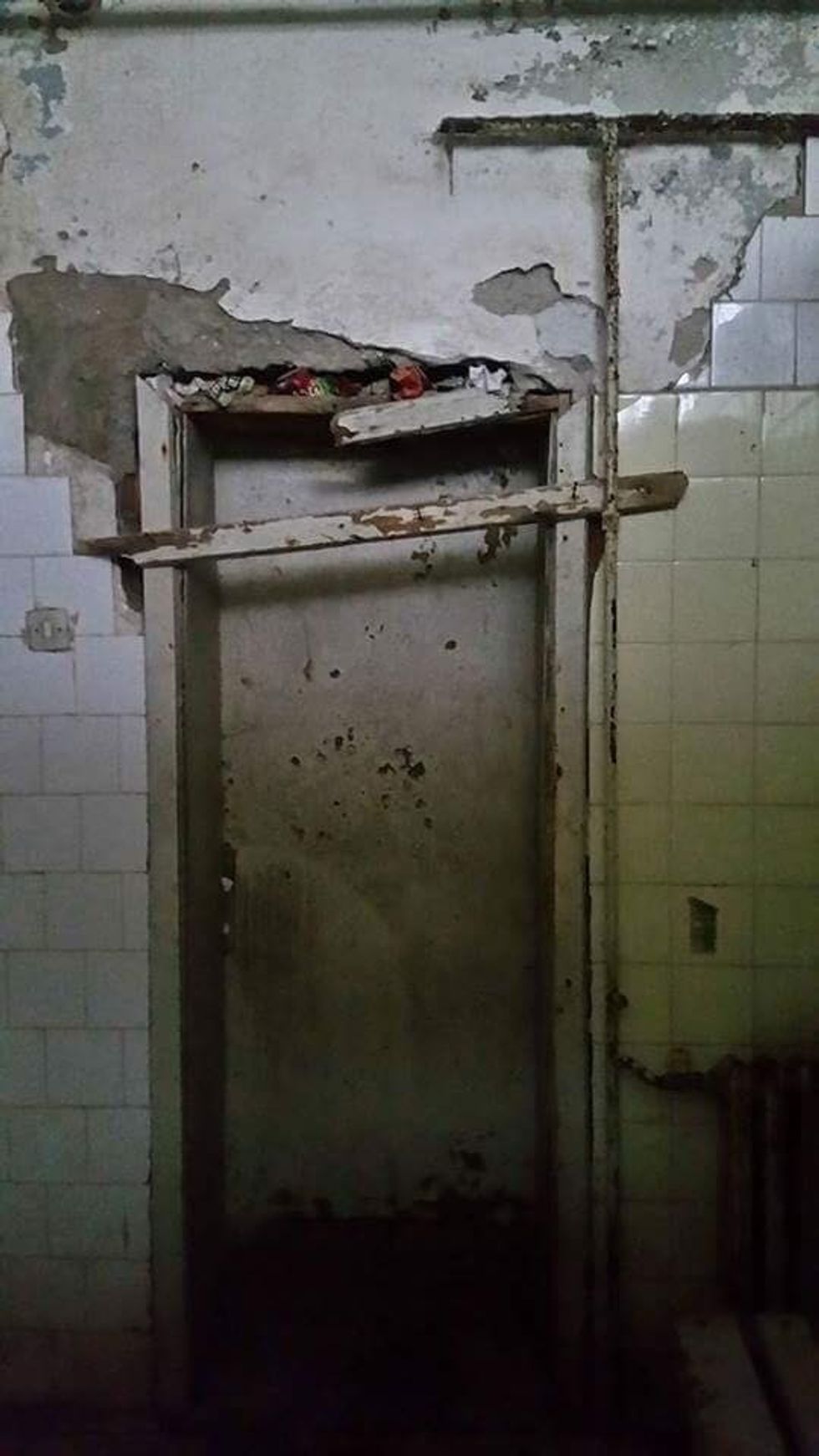 21106482 10213874427235908 6700057616796639895 n