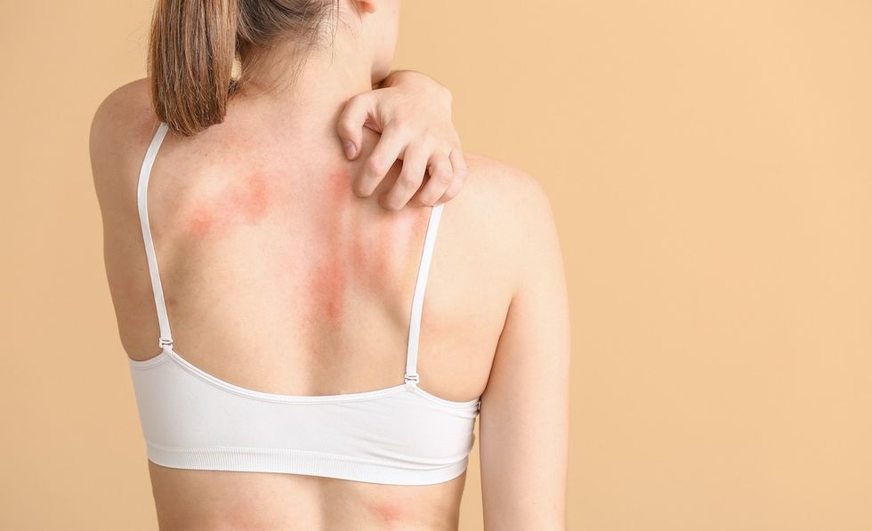 212545 shutterstock 133587822